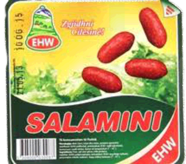 Salcice EHW Salamini