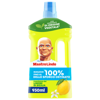 Lares Dyshemeje Mastro Lindo Lemon 930ml