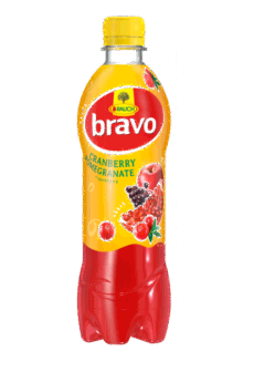 Leng Frutash Bravo Shege Boronice 0.5L